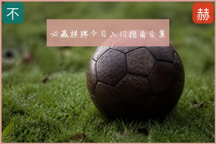 必赢棋牌今日入门指南合集